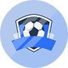 纽约城B队